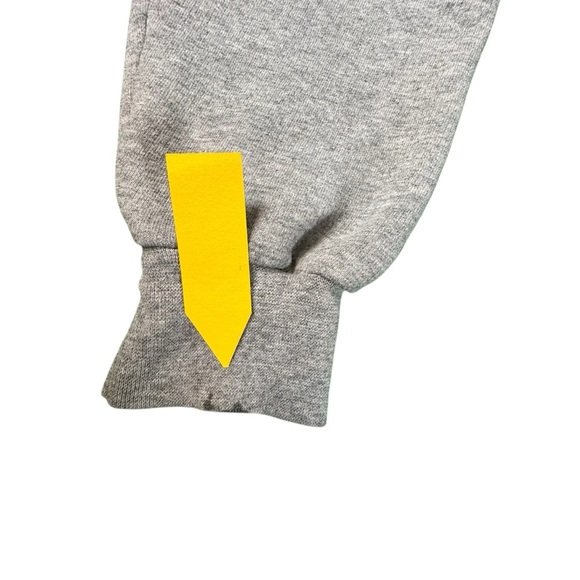 Champion Mizzou Hoodie Sweatshirt Gray Medium University of Missouri Tigers - Picture 4 of 9